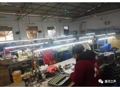 唐河縣少拜寺鎮依法取締無證電子廠，確保安全生產與民生福祉
